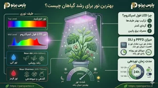 بهترین نور برای رشد گیاهان چیست؟