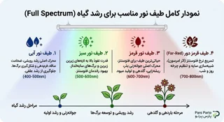 طیف نور مناسب برای رشد گیاه چیست؟