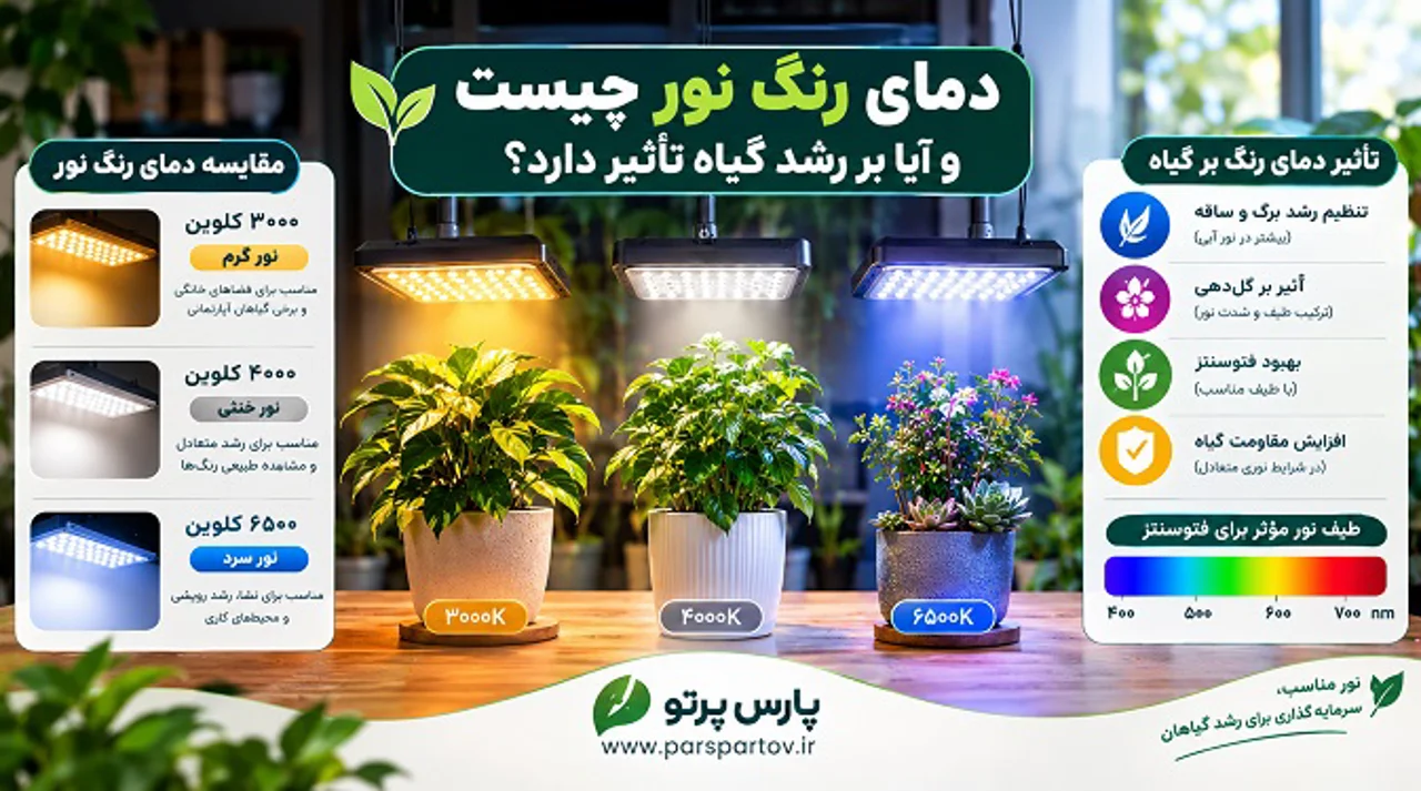 دمای رنگ نور چیست و آیا بر رشد گیاه تأثیر دارد؟
