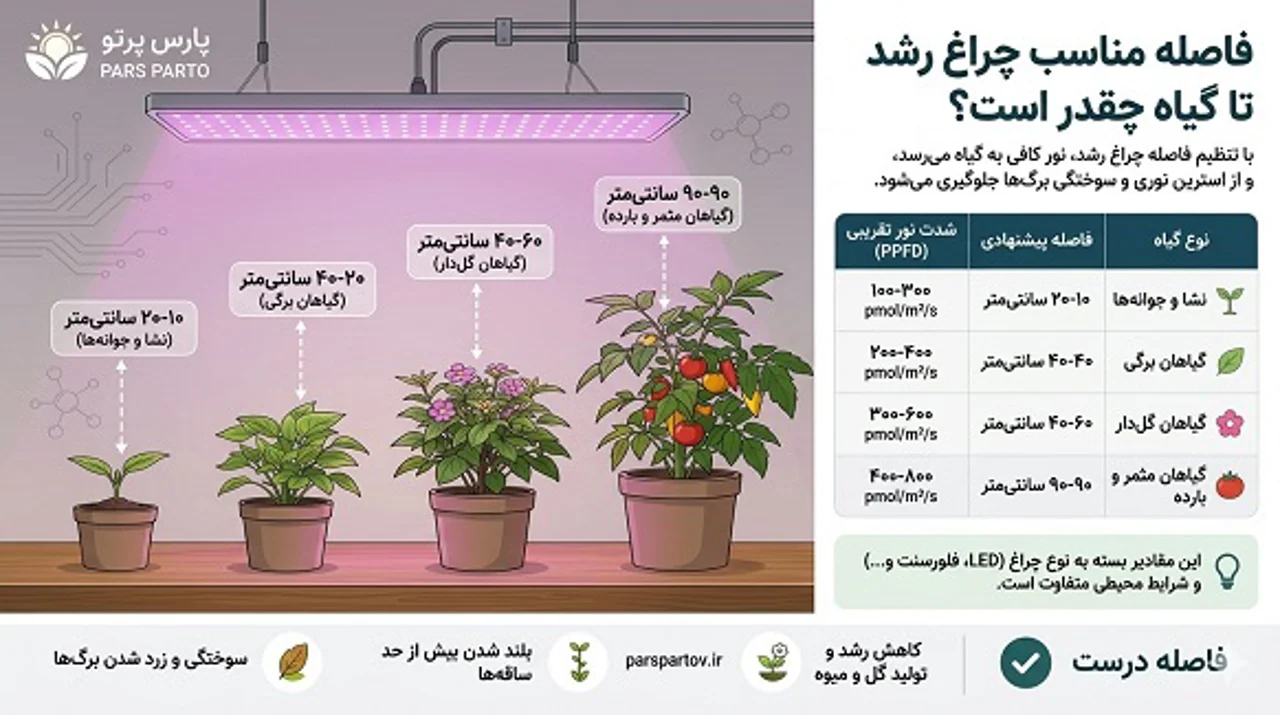 فاصله مناسب چراغ رشد از گیاه چقدر است؟