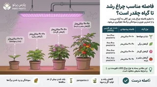 فاصله مناسب چراغ رشد از گیاه چقدر است؟