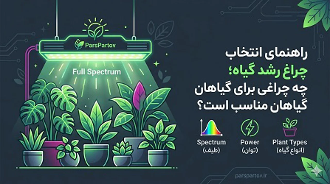 راهنمای انتخاب چراغ رشد گیاه؛ چه چراغی برای گیاهان مناسب است؟