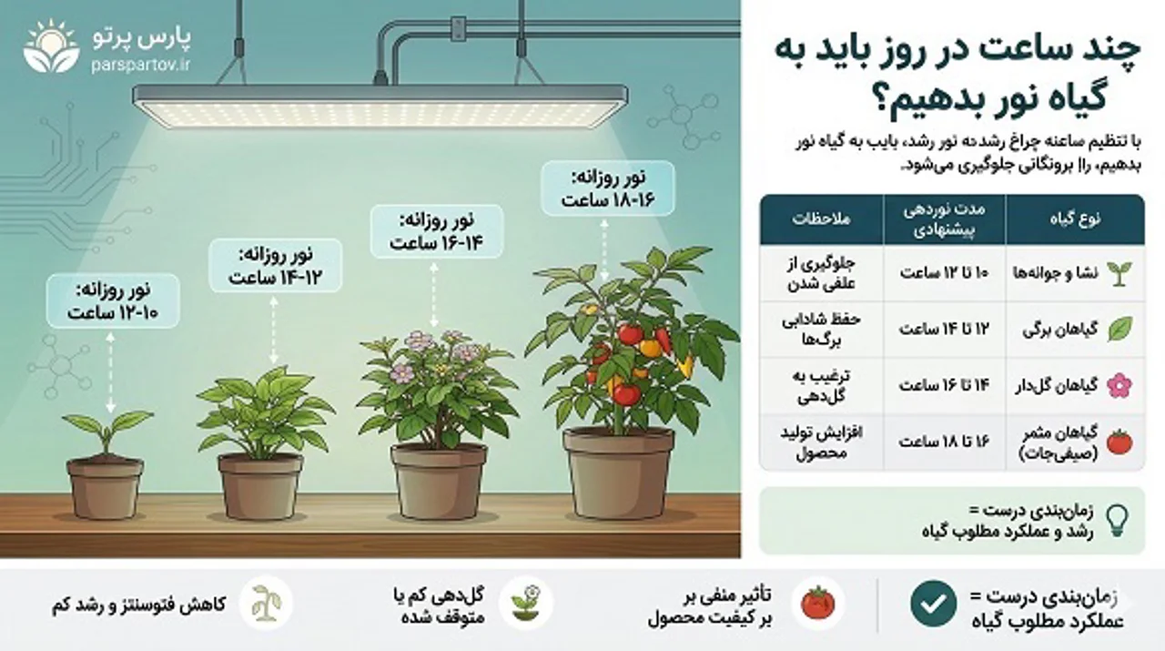 چند ساعت در روز باید به گیاه نور بدهیم؟