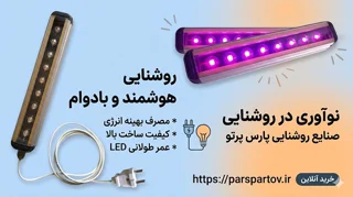 گیاهان سایه دوست