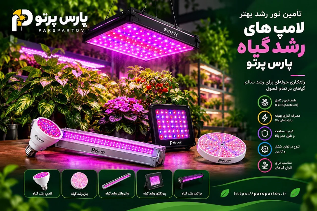 راهنمای کامل نیاز نوری گیاهان آپارتمانی | جدول نور مورد نیاز گیاهان