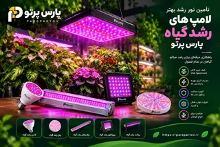 راهنمای کامل نیاز نوری گیاهان آپارتمانی | جدول نور مورد نیاز گیاهان