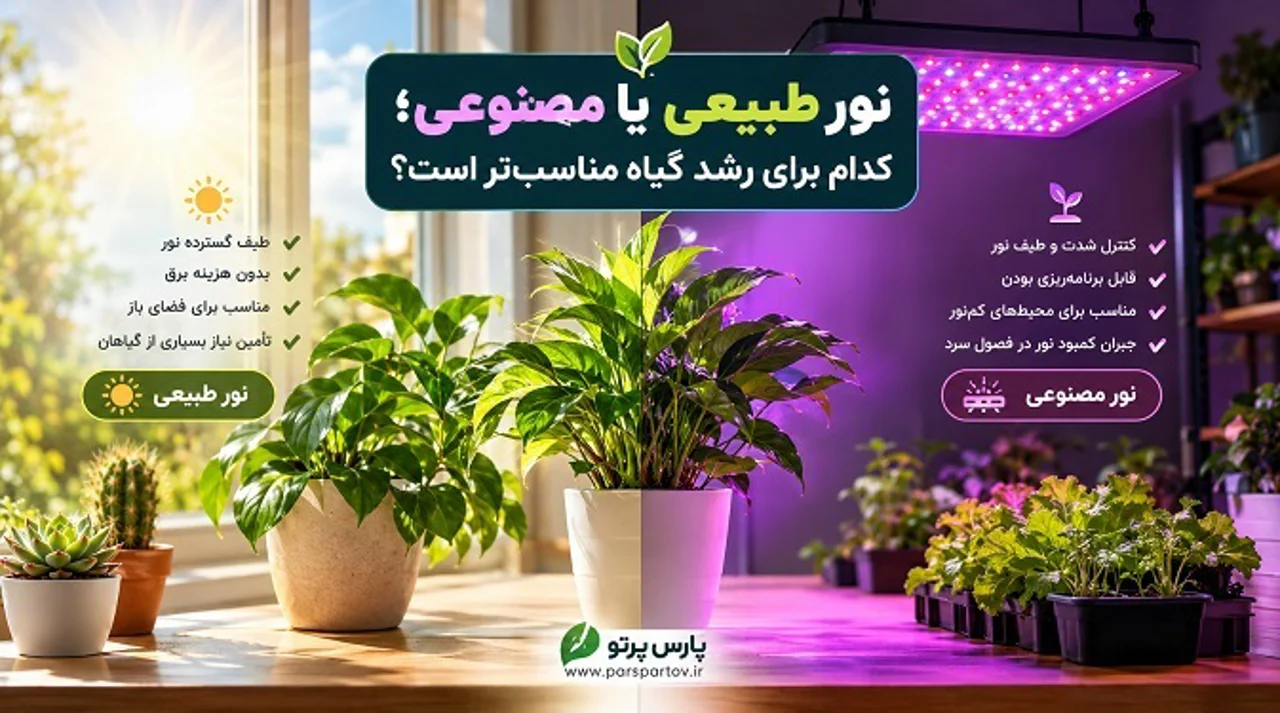 نور طبیعی یا مصنوعی؛ کدام برای رشد گیاه مناسبتر است؟