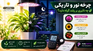 چرخه نور و تاریکی چه تأثیری بر رشد گیاه دارد؟
