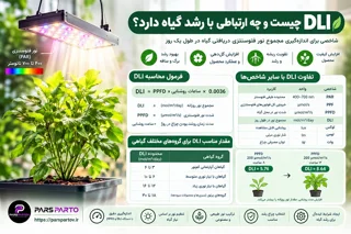 DLI چیست و چه ارتباطی با رشد گیاه دارد؟