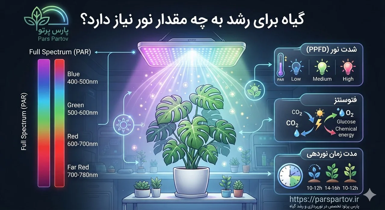 گیاه برای رشد به چه مقدار نور نیاز دارد؟