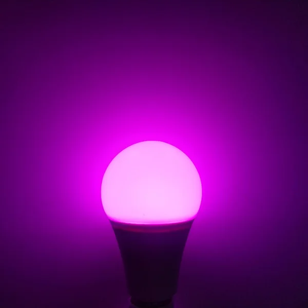 لامپ رشدگیاه چیست ؟