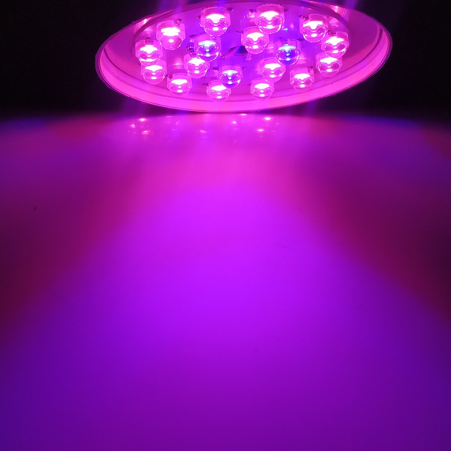 راهنمای انتخاب لامپ رشد گیاه مناسب