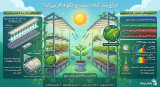 چراغ رشد گیاه چیست و چگونه کار میکند؟